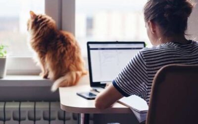 Protect Your Home From Pet Damage 2021 Issue 07